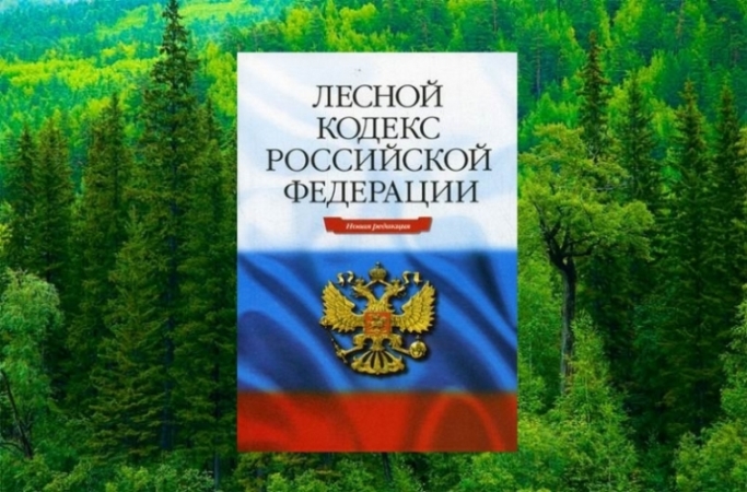 За 1 квартал 2016 года должностными лицами Министерства и лесничеств выявлено 69 нарушений лесного законодательства. Министерств