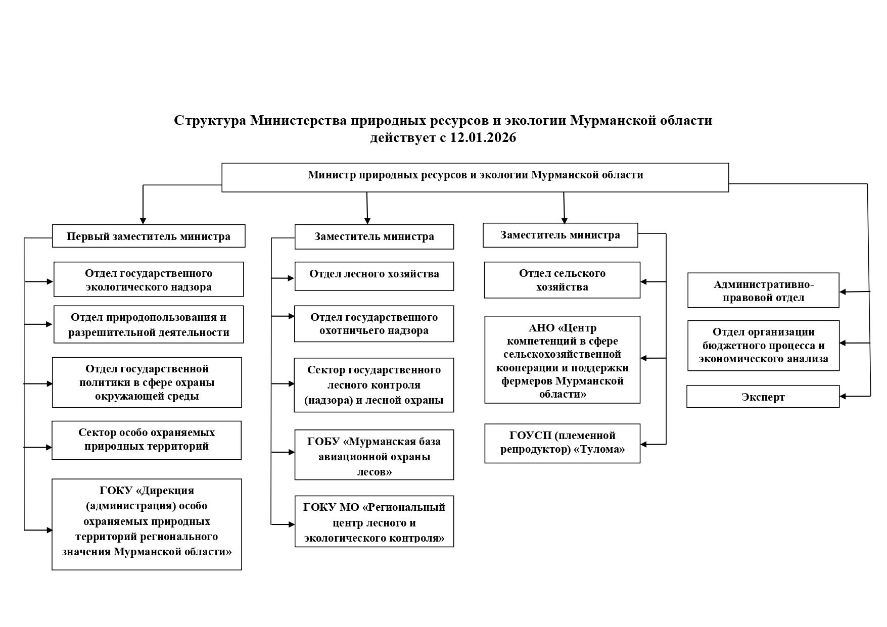 Структура Министерства природных ресурсов и экологии Мурманской области