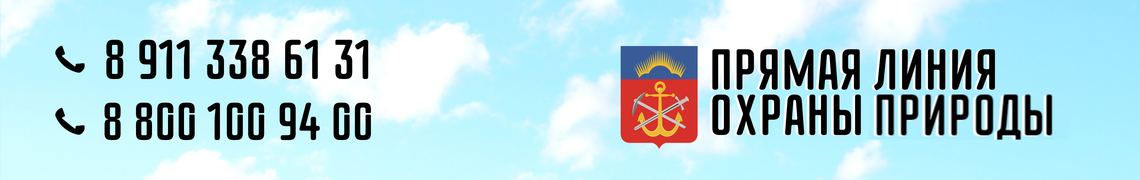 Прямая линия охраны экологии