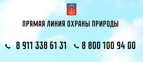 Прямая линия охраны экологии