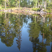 Фотогалерея