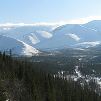 Фотогалерея