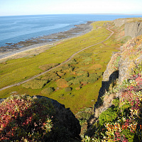 Фотогалерея