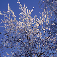 Фотогалерея