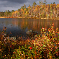 Фотогалерея