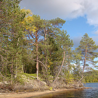 Фотогалерея