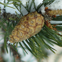 Фотогалерея