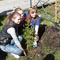 День посадки