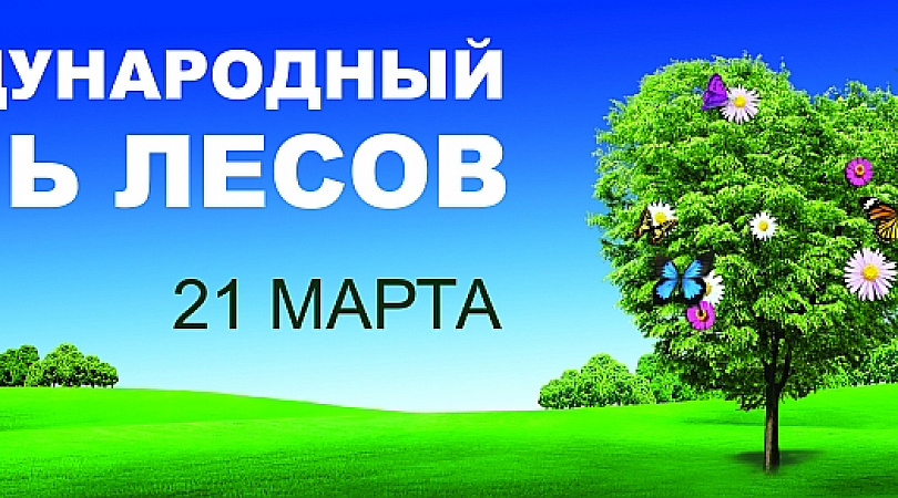 Международный день лесов фото