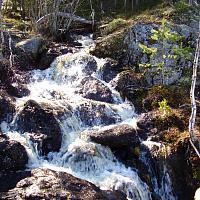 Фотогалерея