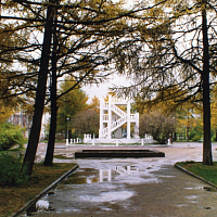 Лиственницы осенью. Фото Е.Ф. Дудаковой.