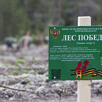 Информационная табличка